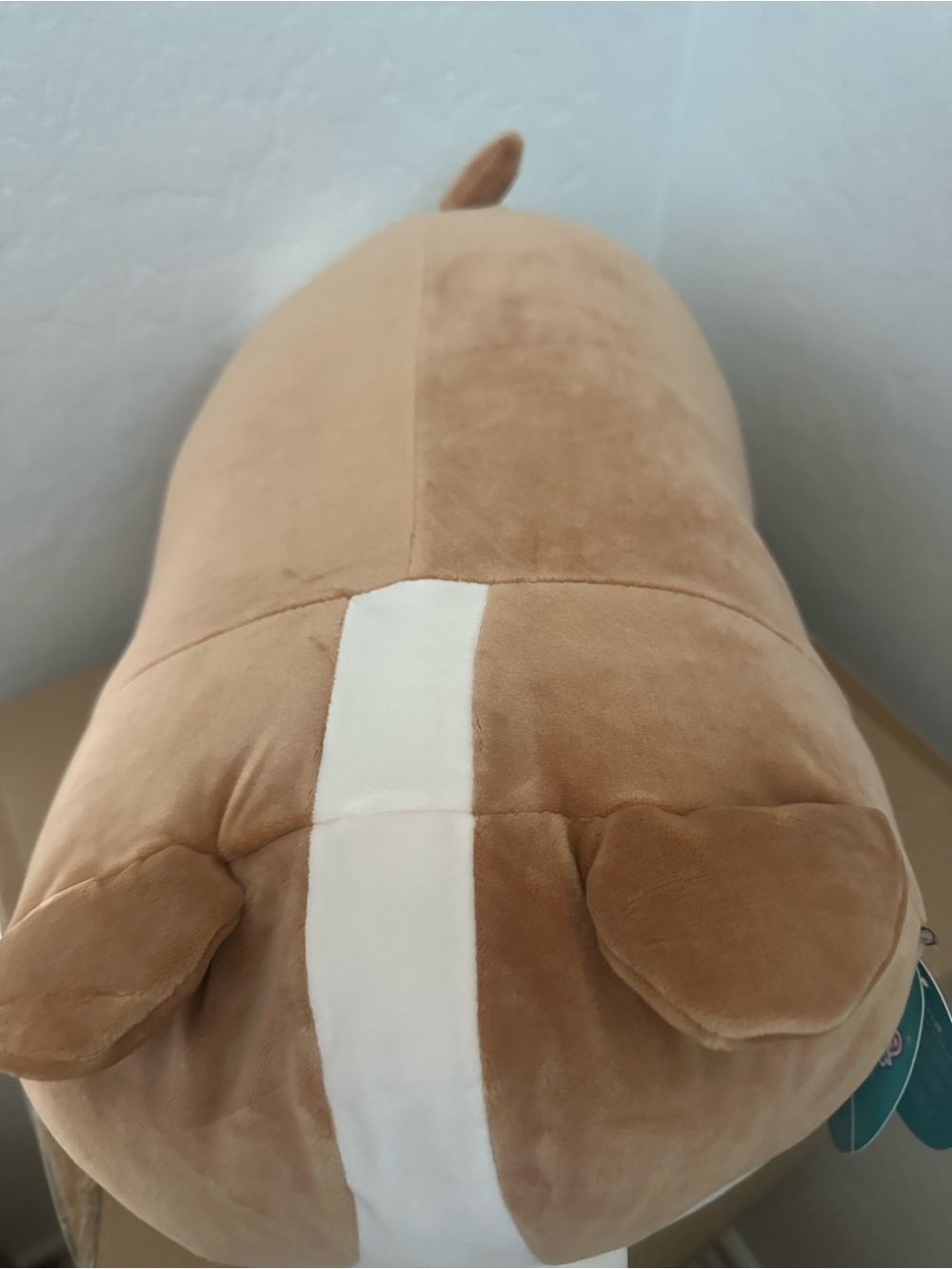 Squishmallows Brown & White Sleepy Corgi Plush Dog Toy - Picture 2 of 4
